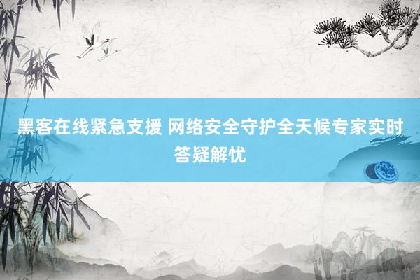 黑客在线紧急支援 网络安全守护全天候专家实时答疑解忧