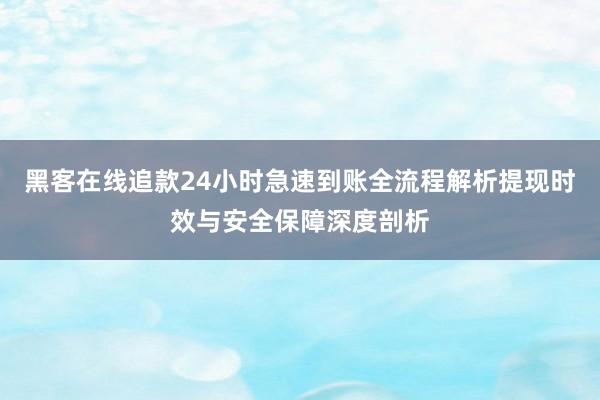 黑客在线追款24小时急速到账全流程解析提现时效与安全保障深度剖析