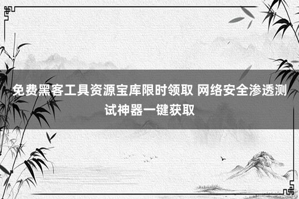 免费黑客工具资源宝库限时领取 网络安全渗透测试神器一键获取