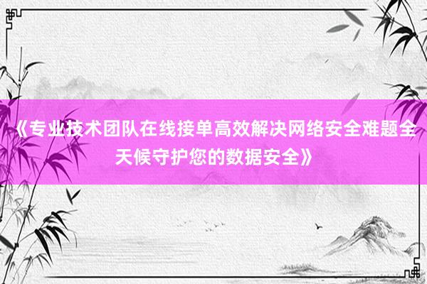 《专业技术团队在线接单高效解决网络安全难题全天候守护您的数据安全》
